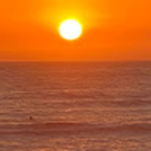 Meet your Posher, Boutthebag